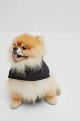 Chaqueta con relleno para perros con logo en contraste