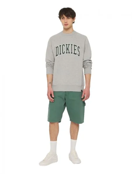 DICKIES Sudadera Aitkin Hombre Forest